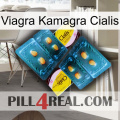 Viagra Kamagra Cialis cialis5